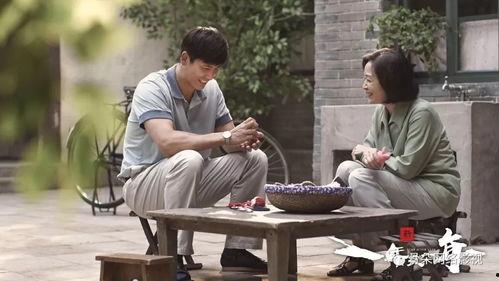 新一年又一年,新岁序章——新一年又一年概览