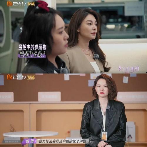 女子推理社,破解谜题,探寻真相的神秘之旅