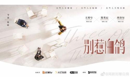 别惹白鸽之她的秘密,探寻她的隐藏秘密