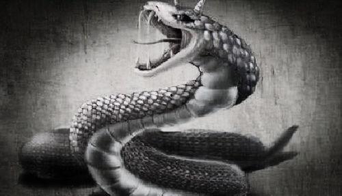 蛇债难逃,揭秘金融市场的暗流涌动