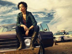 鲁丝 第一季,探寻都市女性的成长与蜕变